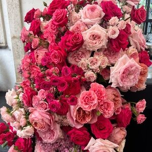 Meet your Posher, Monika